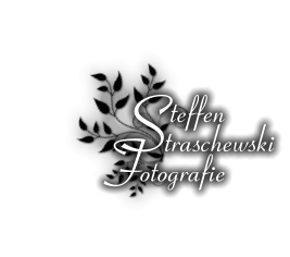 teffen otografie traschewski S F